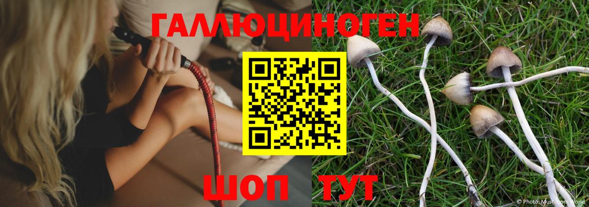 Старая Купавна  Галлюциногенные грибы Cubensis  где купить   Вход с VPN 
